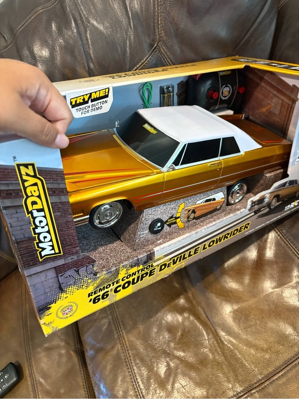 Motordayz brand new